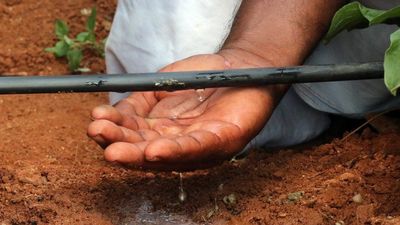 Less Is More: Netafim Is Turning Floods Into Drips Worldwide, Increasing Farming Yields