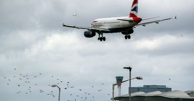 Rob Beckett issues warning to British Airways travellers after 'weird mess'