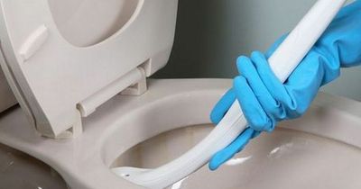 People say a 20p Aldi item many of us have at home gets your toilet sparkling in minutes