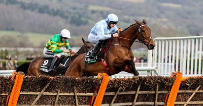 Paddy Power will pay Honeysuckle £100k bonus - but only if she beats Constitution Hill at Punchestown