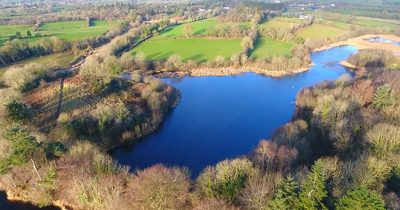 Work to build houses on site of Ireland’s oldest linen mill gets green light for regeneration