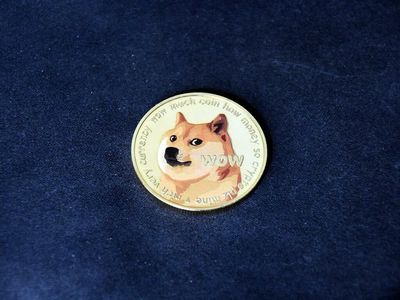 Robinhood CEO Details How Dogecoin Can Be The Future Currency Of The Internet, Elon Musk Weighs In
