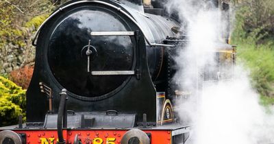 Steam trains under threat due to shortage of coal as war in Ukraine halts imports