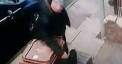 Cat-throwing 'scumbag' picks up moggy from wall and flings her across road onto tarmac