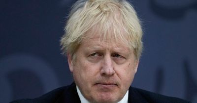 'Tories are cowardly lickspittles trapped under the heel of dictator Boris Johnson'