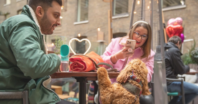 Edinburgh Cockapoo Café will be Scotland's first when it opens this summer