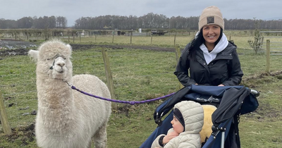 West Lothian mum blown away by son's special bond with 'gentle' friend alpaca