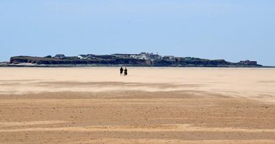 Merseyside has the UK's most Instagrammable dog friendly beach in the UK