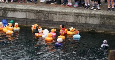 Hundreds turn out as Salford Quays turned into a giant bath for huge rubber duck race