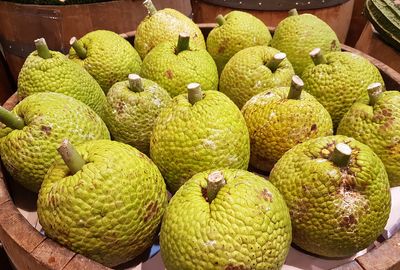 Why Barbadian Jews make breadfruit matzo