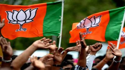 Karnataka executive meet today to draw BJP's poll strategy
