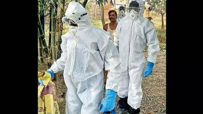 Bihar: No sale, consumption of chicken in Supaul village