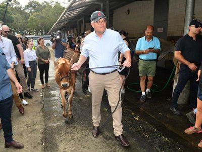 Selfies and smiles greet PM at Easter show