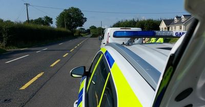 Gardai catch learner driver 11 times over the limit behind the wheel