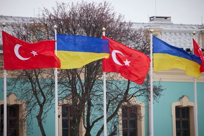 Ukraine working with Turkey, understands parallel ties to Russia -Ukrainian diplomat