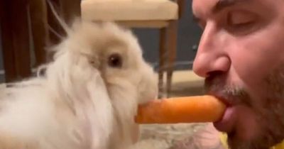 David Beckham eats carrot with Harper's bunny Coco after son Brooklyn's Florida wedding