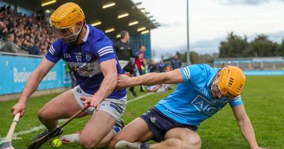 Donal Burke shines as Dublin survive late scare against Laois at Parnell Park