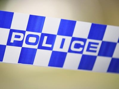 NSW police dog mauls man's legs