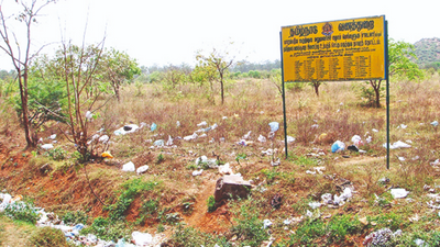 Tamil Nadu: Nanmangalam forest to be declared a sanctuary