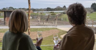 Sleep next to giraffes and rhinos in new lodges at UK safari park