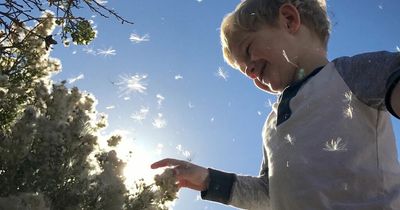 Hay fever symptoms 'mistaken for Covid' as Met Office forecasts high pollen count