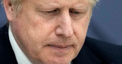 Partygate: Boris Johnson branded 'rogue PM unworthy of Queen' in historian's devastating verdict