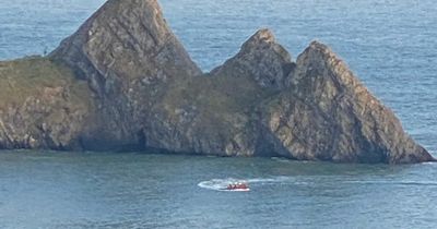 Cliff fall hoax sparks frantic coastguard search that cost 'thousands'