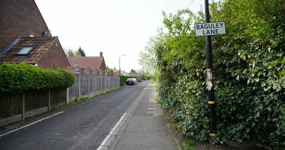 Terrified locals hear 'hysterical screaming' as boy is stabbed at children's birthday party on residential street