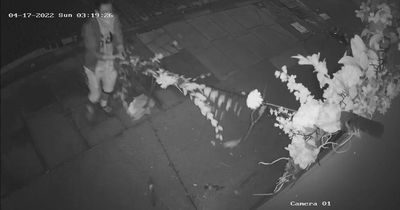 Edinburgh restaurant catch man on CCTV wrecking display and 'intimidating staff'