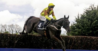 Galopin Des Champs makes amends for Cheltenham blunder with Fairyhouse saunter