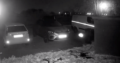 Mystery light leaves Lady Bay man with 'no clue' after setting off his camera