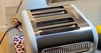 Woman shares 'hidden compartment' in toaster and people are stunned by its existence