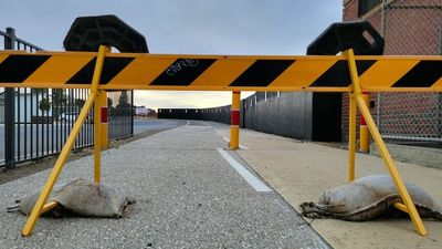 Hobart's Mac Point interim cycleway partially demolished, CEO denies decisions are 'crippling' cashflow