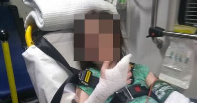 Girl, 8, rushed to hospital after being bitten by venomous snake during Easter picnic
