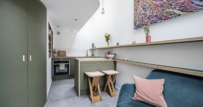 One-bed London home that ‘looks like shed’ has £50k slashed off £430k price