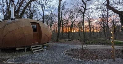 The quirky forest escape just two hours from Bristol where you stay in your own 'Truffle'