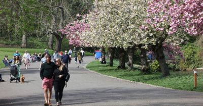 Liverpool weather as temperatures plunge after hot bank holiday