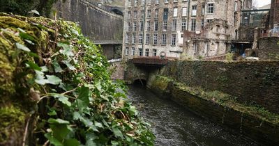 The gorgeous bar at the bottom of a ravine outside Manchester - which you can only reach by an aerial walkway