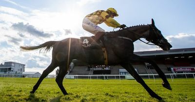 Irish Grand National tips: Selections for all eight races at Fairyhouse on Easter Monday