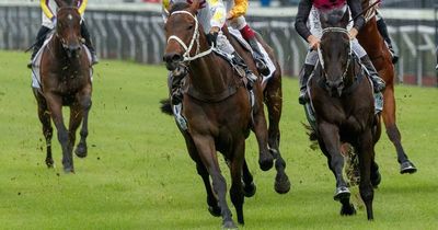 Newcastle trainer Nathan Doyle continues purple patch of form