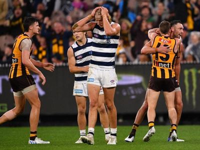 Hawks snatch sweet AFL upset over Cats