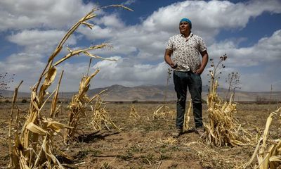 Blue corn and melons: meet the seed keepers reviving ancient, resilient crops