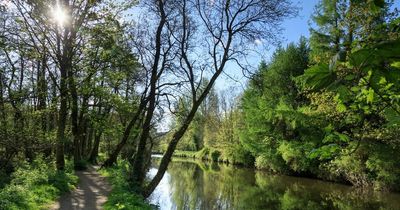 Northern Ireland weather forecast for the week ahead