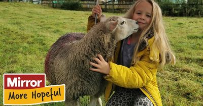 Eight-year-old girl becomes best friends with a sheep after nursing it back to health