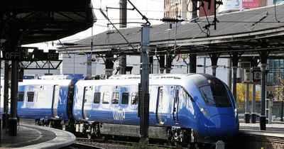 Fifteen passengers injured after high-speed train makes emergency stop
