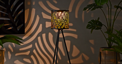 Home Bargains shoppers hail £15 lamp that creates 'stunning' light patterns