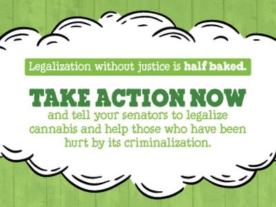 Ben & Jerry's Urges Senate To Improve Country's 'Half Baked' Approach To Cannabis Justice