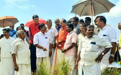 Minister visits rain-hit paddy polders in Kuttanad
