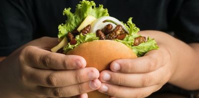 Plant-based patties, lab-grown meat and insects: how the protein industry is innovating to meet demand