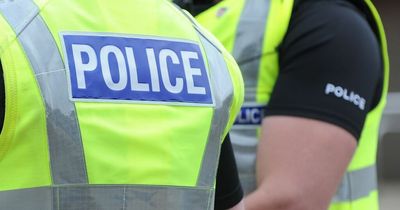 Teenagers arrested after playpark assault and weapons discovery near Lanarkshire